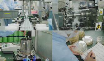 櫻花約定，匠心傳承 日本娜麗絲衛生用品的前世今生